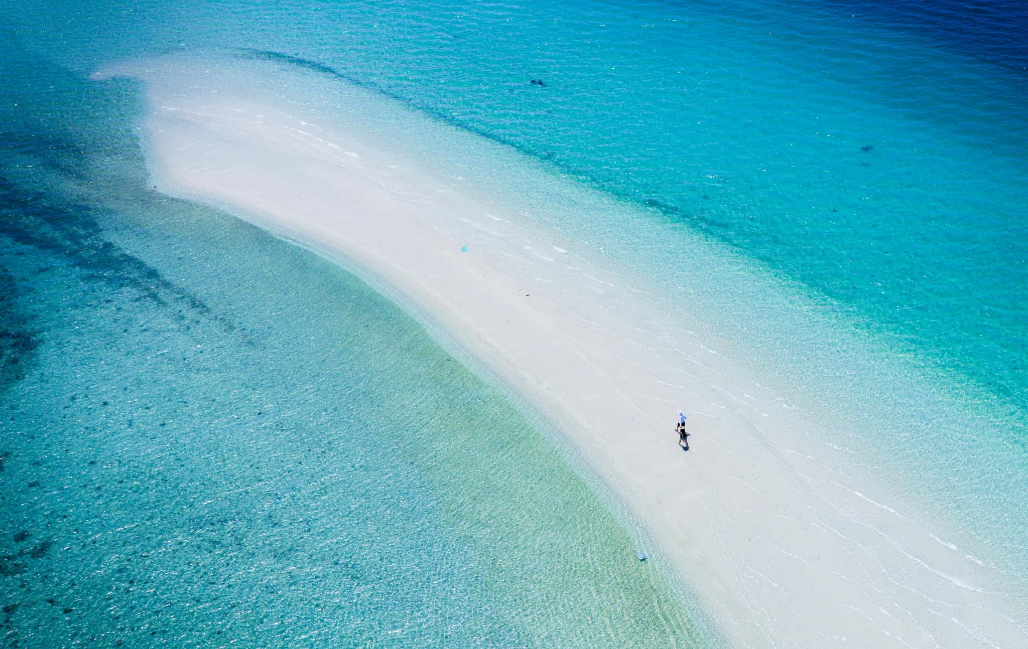 Ocean